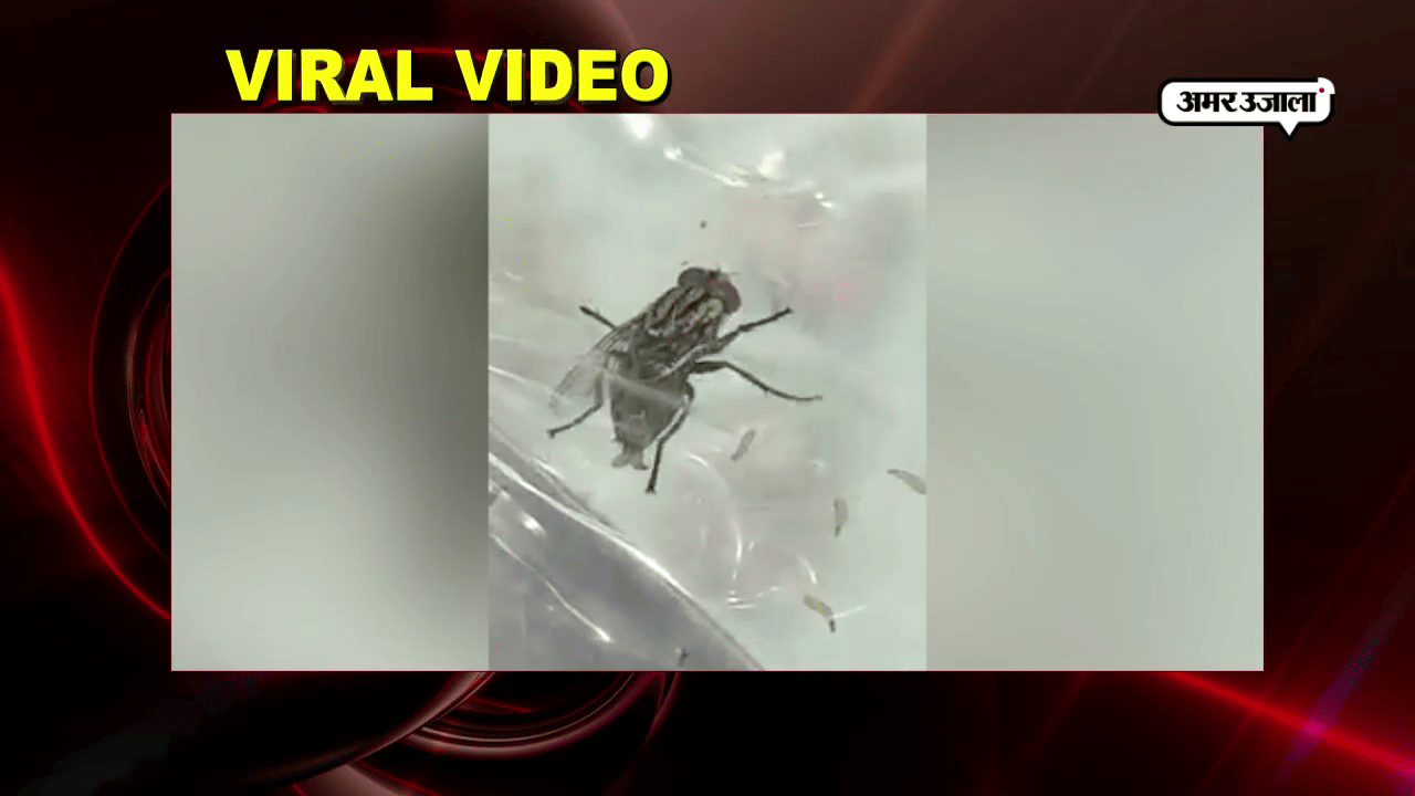 viral video
