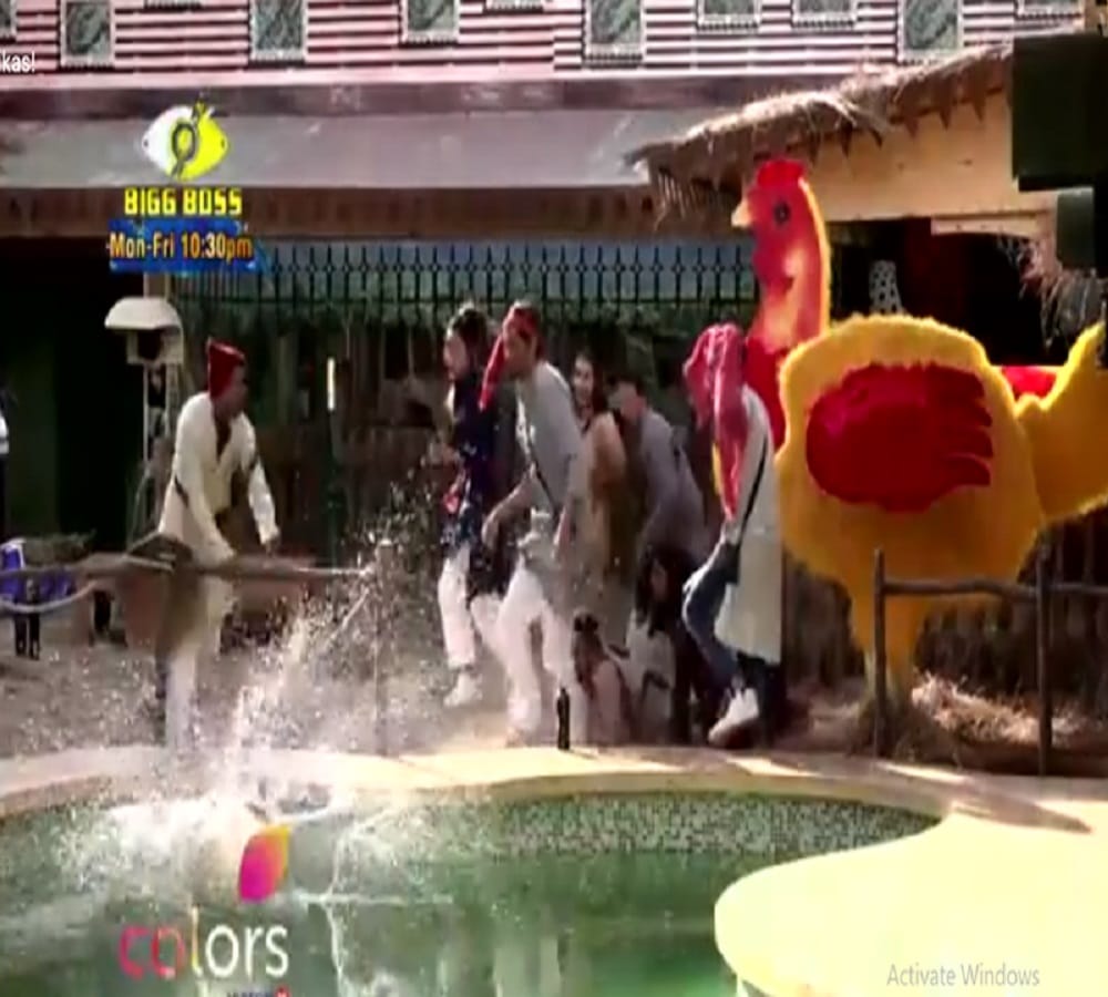 poultry farm luxury budget task akash to break vikas egg in bigg boss 11 