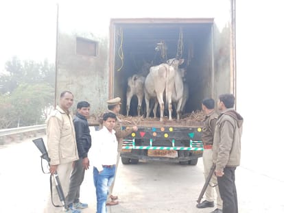 animal caught in container in yamuna expressway