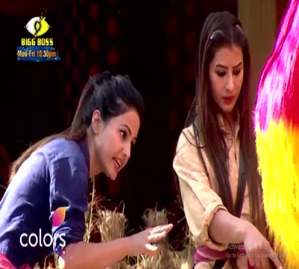 poultry farm luxury budget task akash to break vikas egg in bigg boss 11 