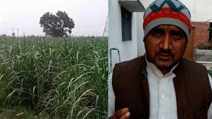 BAGPAT FARMERS WROTE LETTER TO COMMSIONER AND ASKED TO SUICIDE IN CONTEXT TO CHAKBANDI 