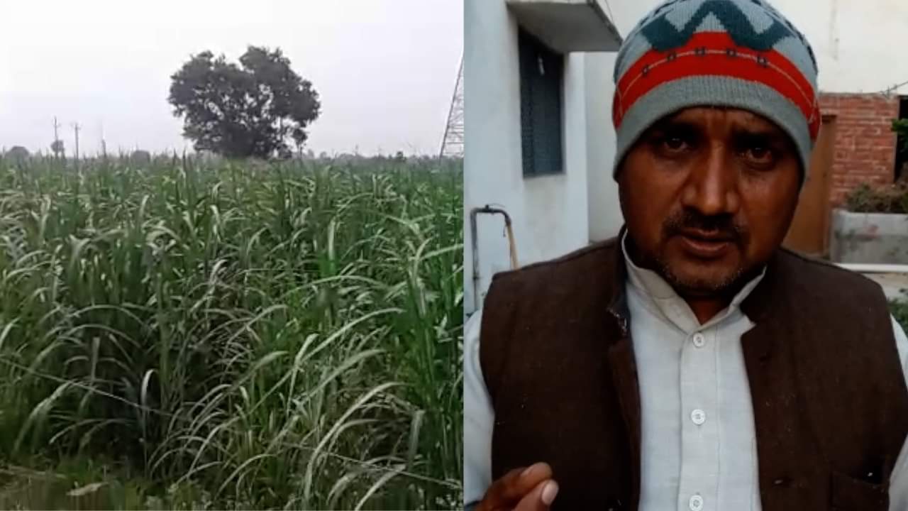 बागपत किसान