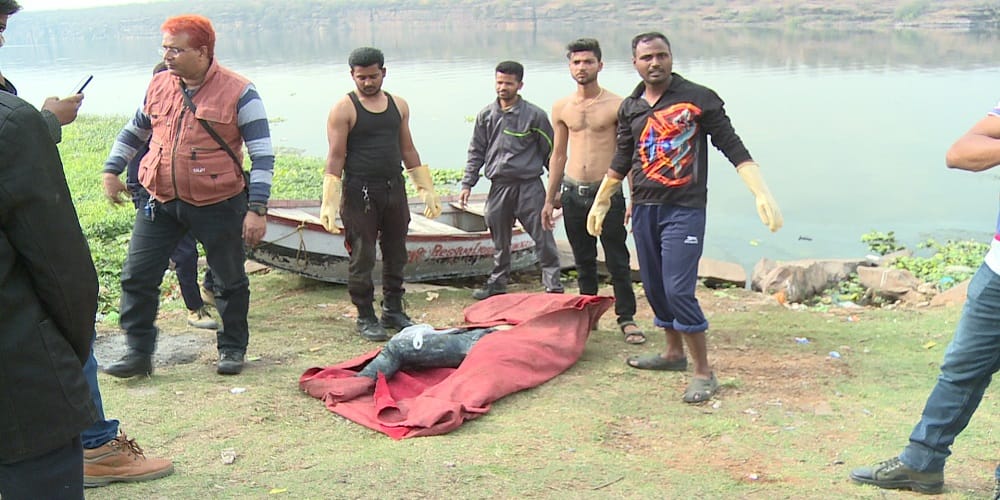 rajasthan kota- 20 days old dead body recovered from river chambal in city 