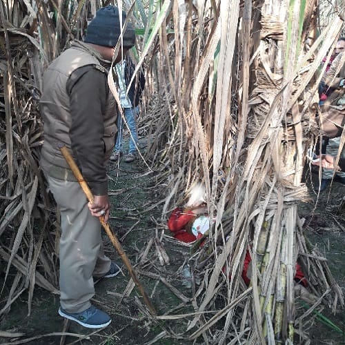 Murder of woman and her nephew, see photos