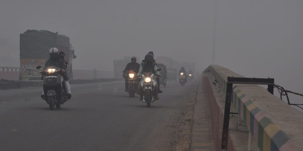 घने कोहरे और गलन से धूप ने दी राहत, लोगों के चेहरे खिले