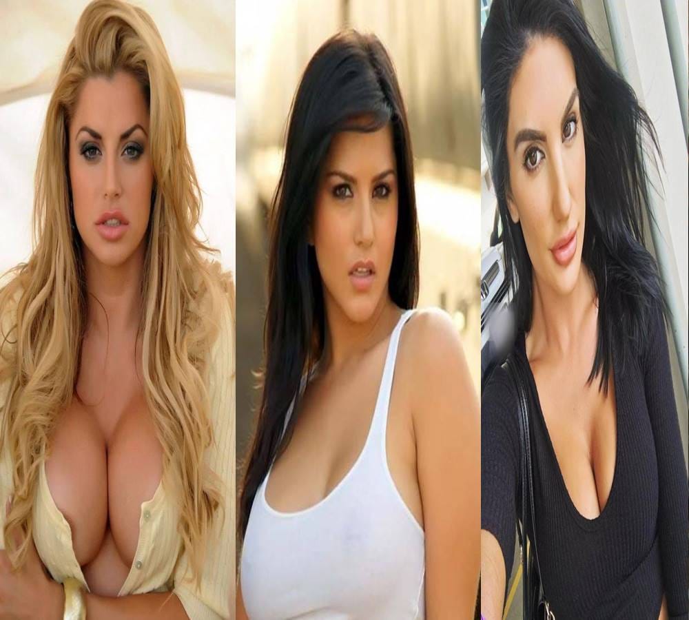do you know about world richest porn stars 