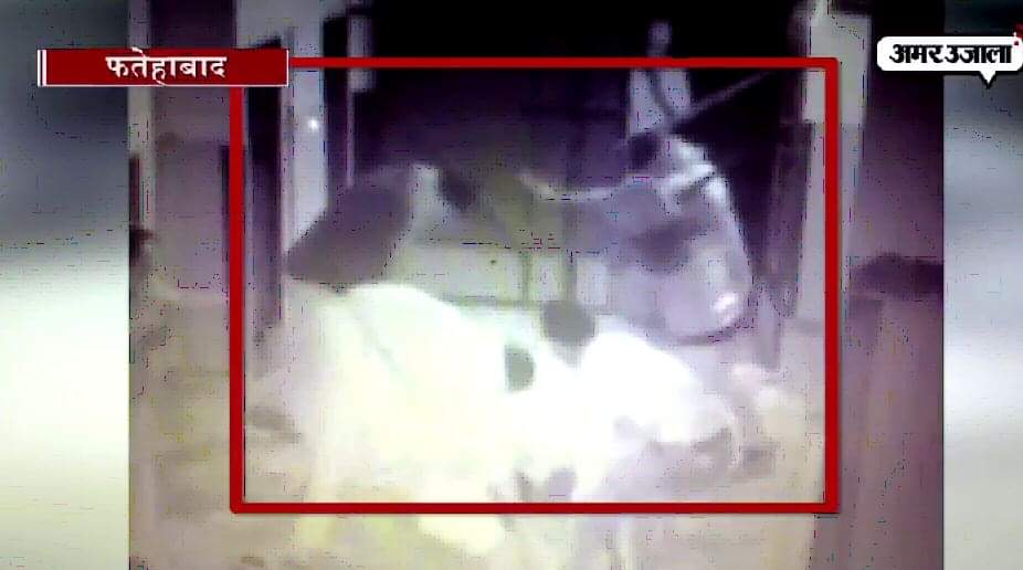 फतेहाबाद