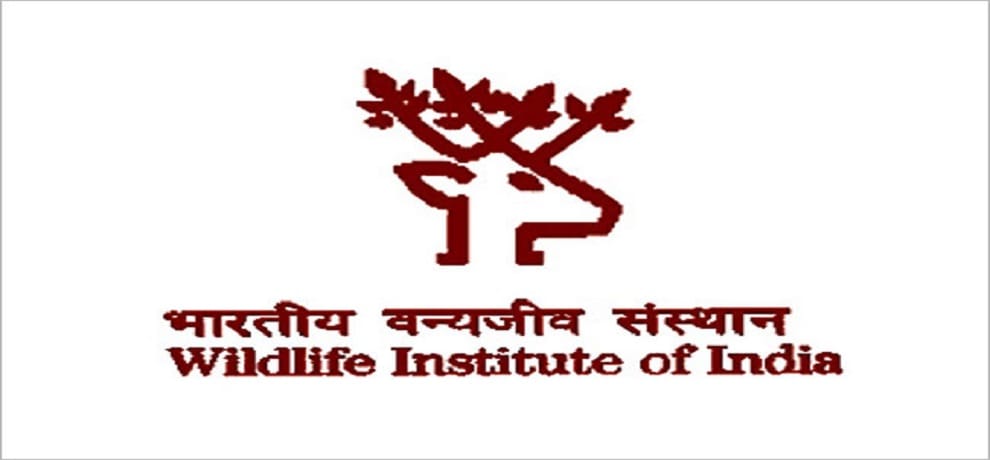 Vacancy in Indian wildlife institute for post of Project biologist application fee free