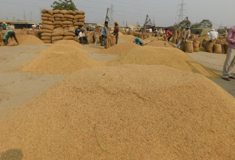 चुनाव केकारण पिछड़ी धान की खरीद