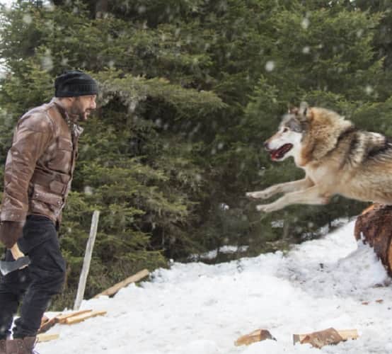 Tiger Shroff Baaghi 2 film fails to beat Baahubali 2 and Tiger Zinda Hai record 