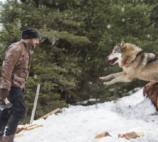 box office collection first day tiger zinda hai becomes number one
