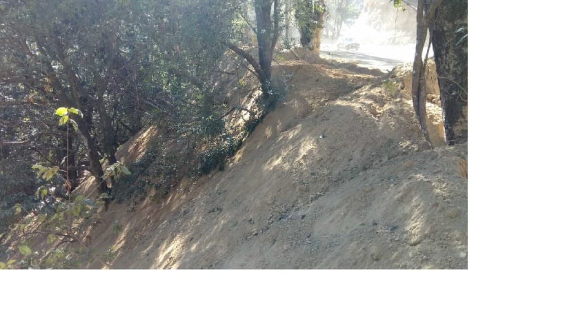 Forest deogha will check the damage done to the wild property from the debris