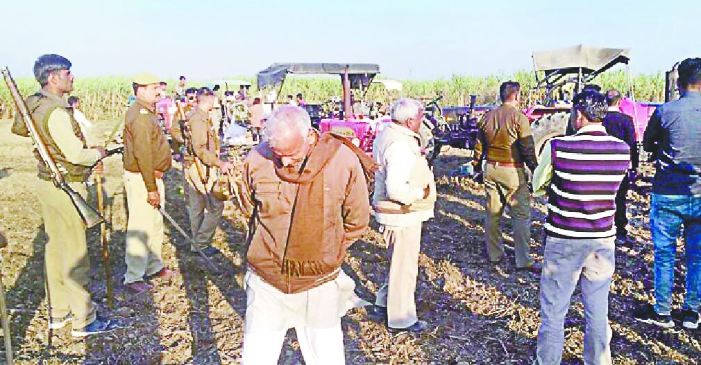 100 bigha land free on court orders