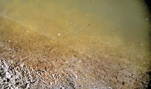 Ganga water at Ramghat near Sangam