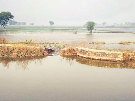Canal damage to two hundred beed crops