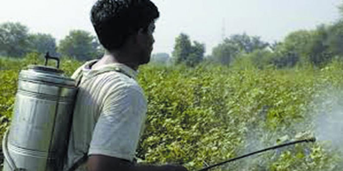 Pesticides in the mouth during the spraying of the field