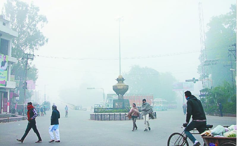 Fog and cold wave continued