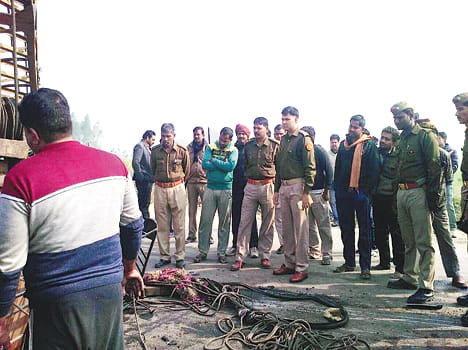 Seven injured including mother and son in road accidents