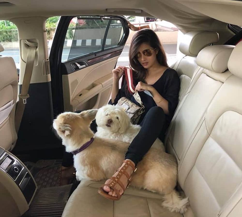 actress riya sen dog kidnapped from her noida house