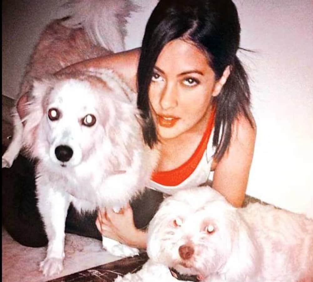actress riya sen dog kidnapped from her noida house
