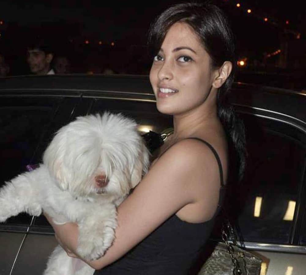 actress riya sen dog kidnapped from her noida house