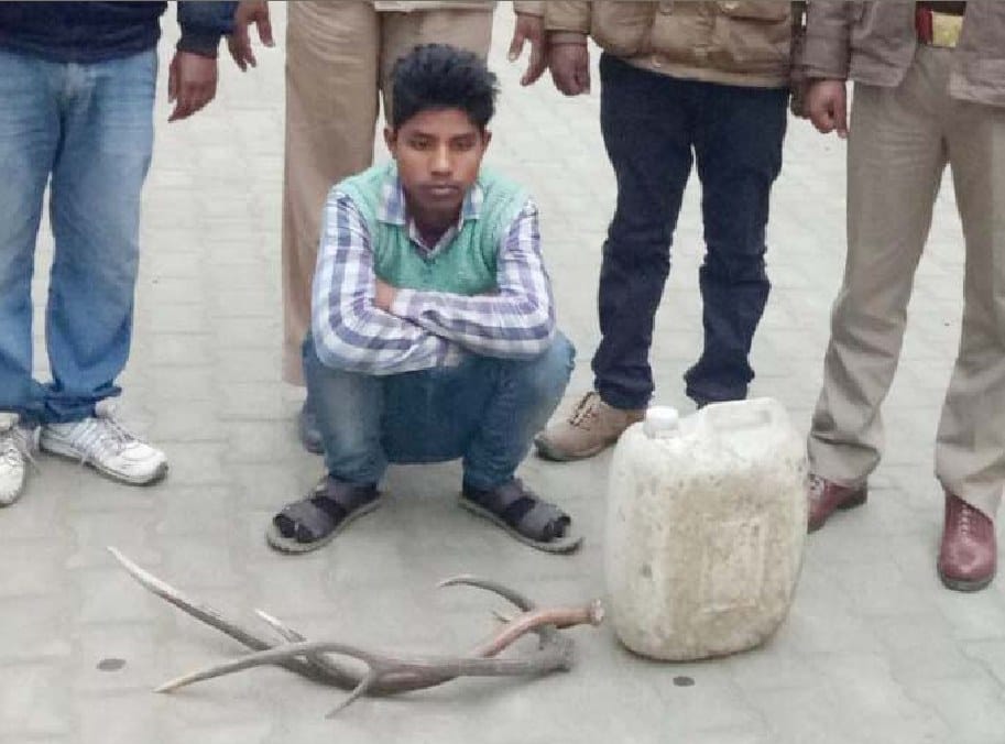 चीतल के सींग व शराब सहित एक पकड़ा
