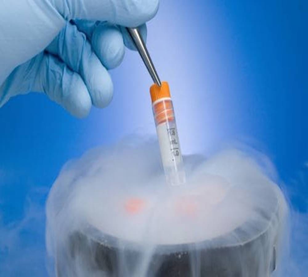 A twenty four years embryo frozen baby born in America