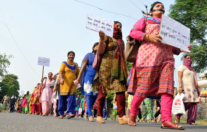 punjab haryana highcourt big decision against guest teachers