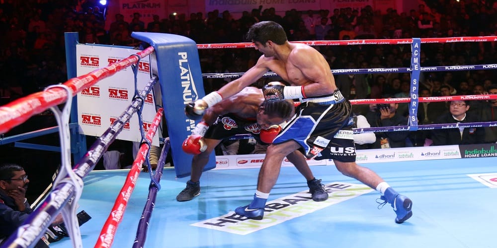vijendra singh beats ghana-s ernest amuzu in rajasthan rumble 