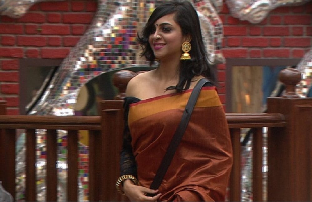 bigg boss 11 ex contestant arshi khan pune goa scandal video viral