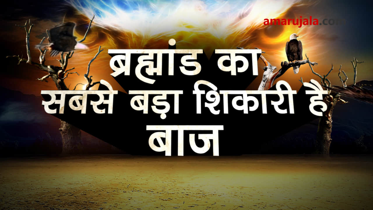 प्रतीकात्मक तस्वीर