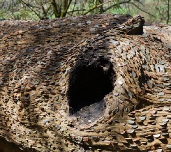 Who says money does not grow on trees? visit Great Britain 