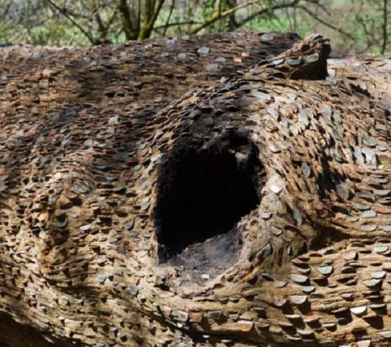 Who says money does not grow on trees? visit Great Britain 
