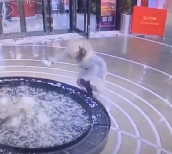 Chinese women Busy With Her Smartphone see what happens with her