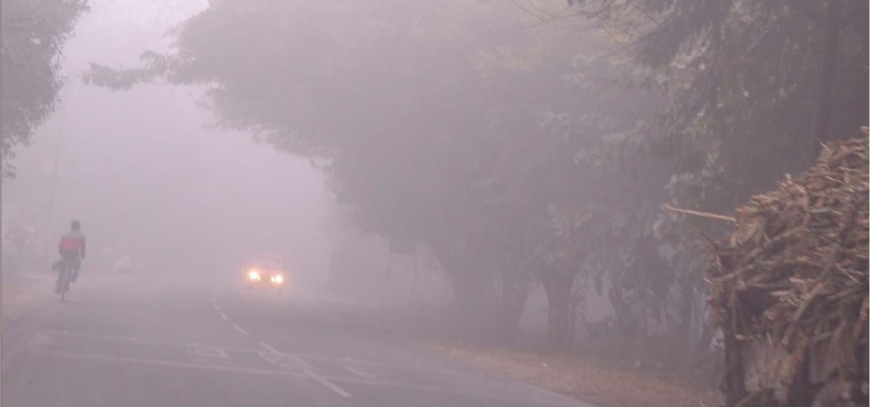 रात भर छाया रहा कोहरा, ठंड से नहीं मिली राहत