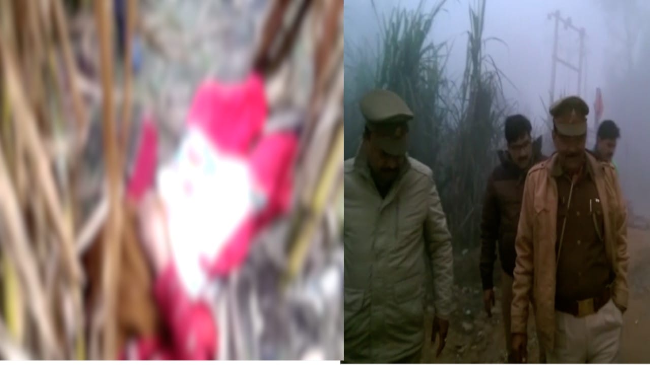 मर्डर