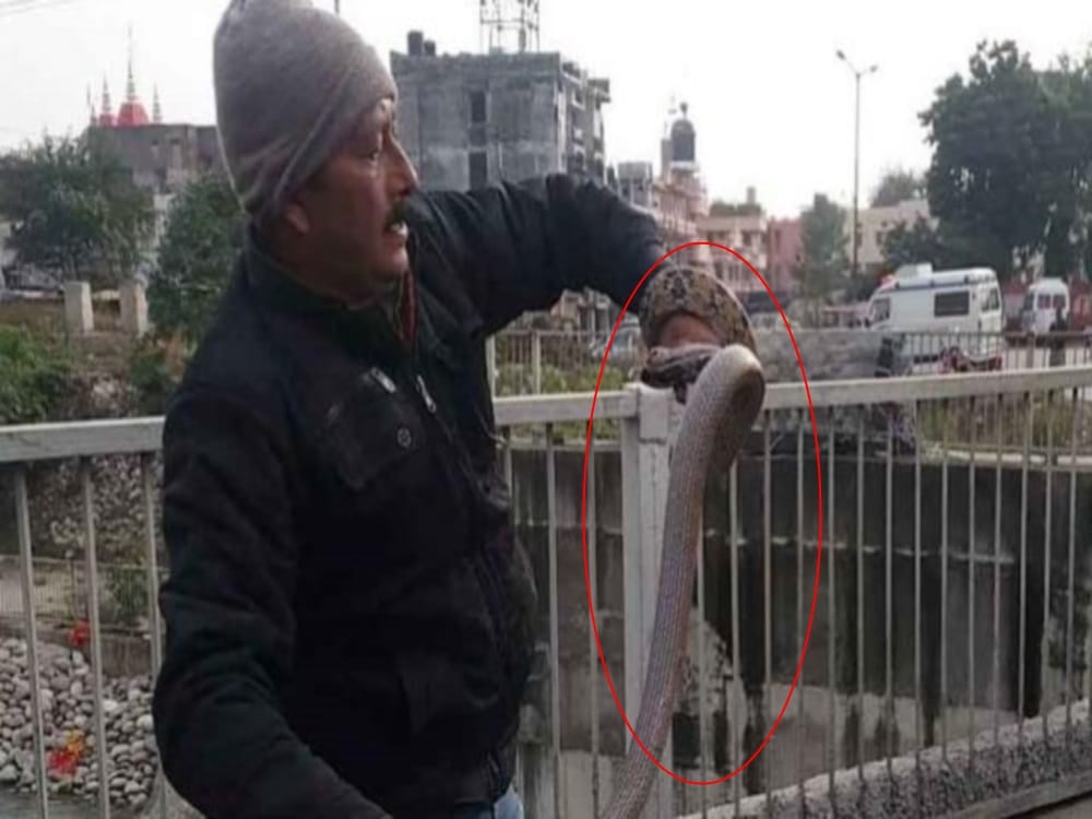 Snake gripped man hands during rescue shocking photos