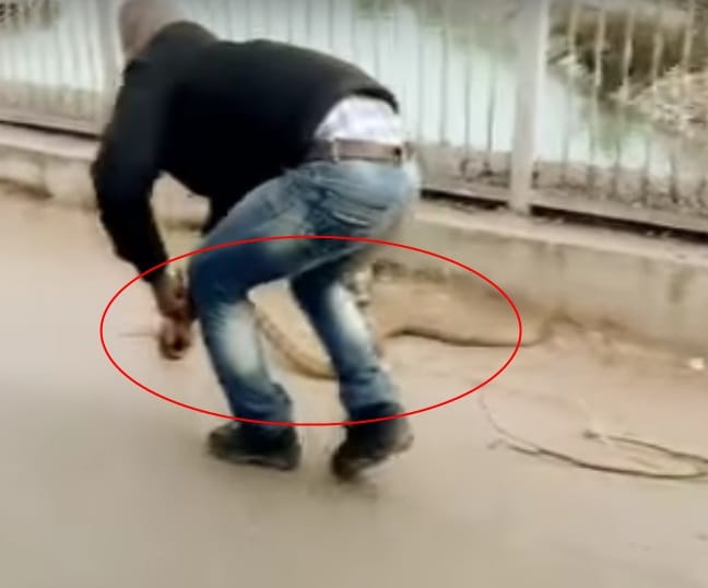 Snake gripped man hands during rescue shocking photos
