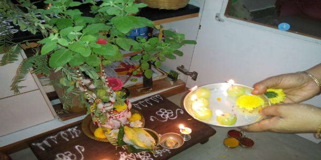 Tulsi pujan diwas Know the importance and poojan vidhi of Tulsi