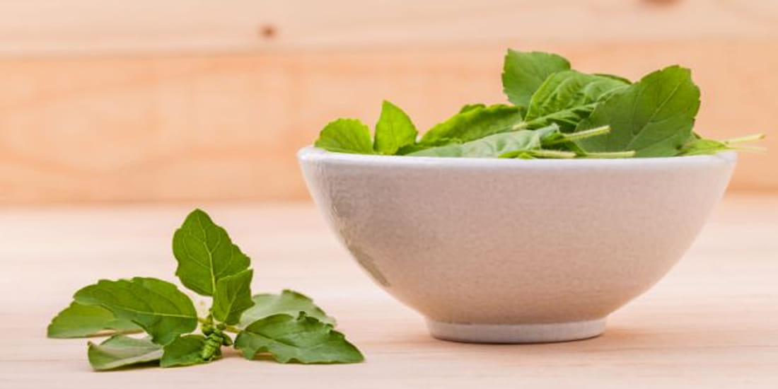 Tulsi Vivaah is the mythical marriage In the Hindu mythology