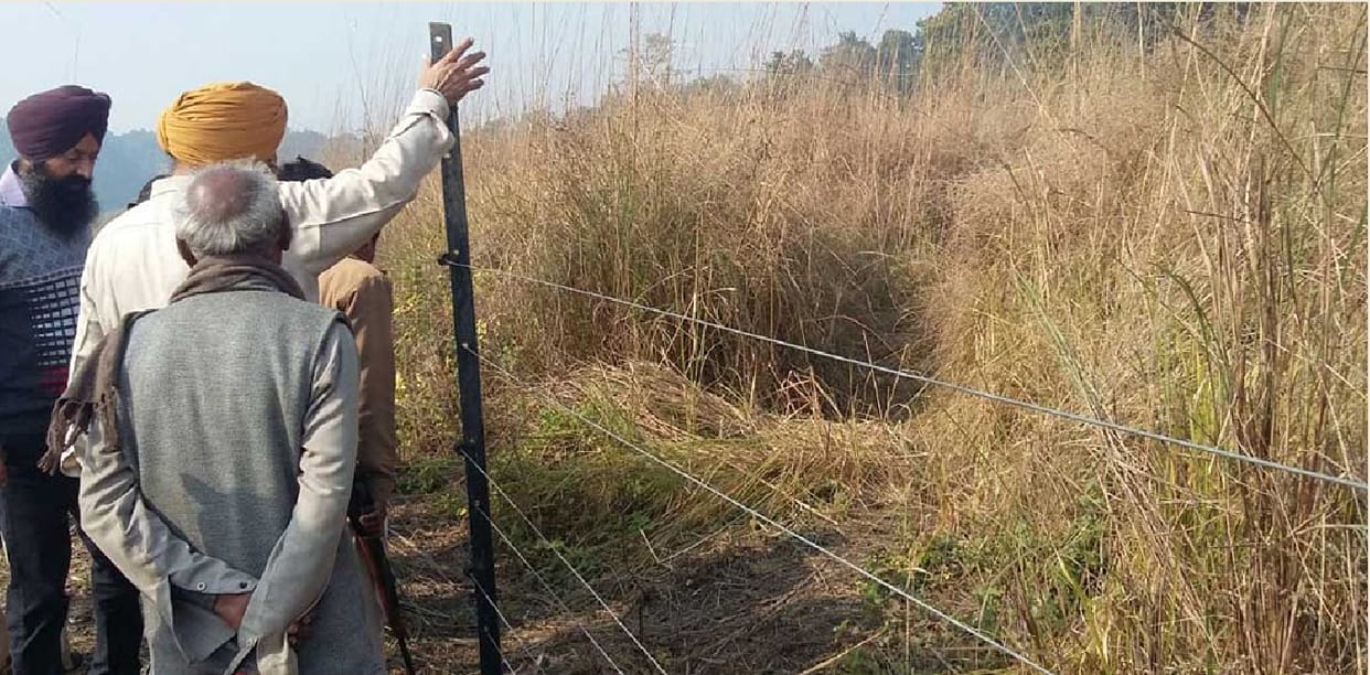 मजदूरी करने गए युवक को बाघ ने बनाया निवाला
