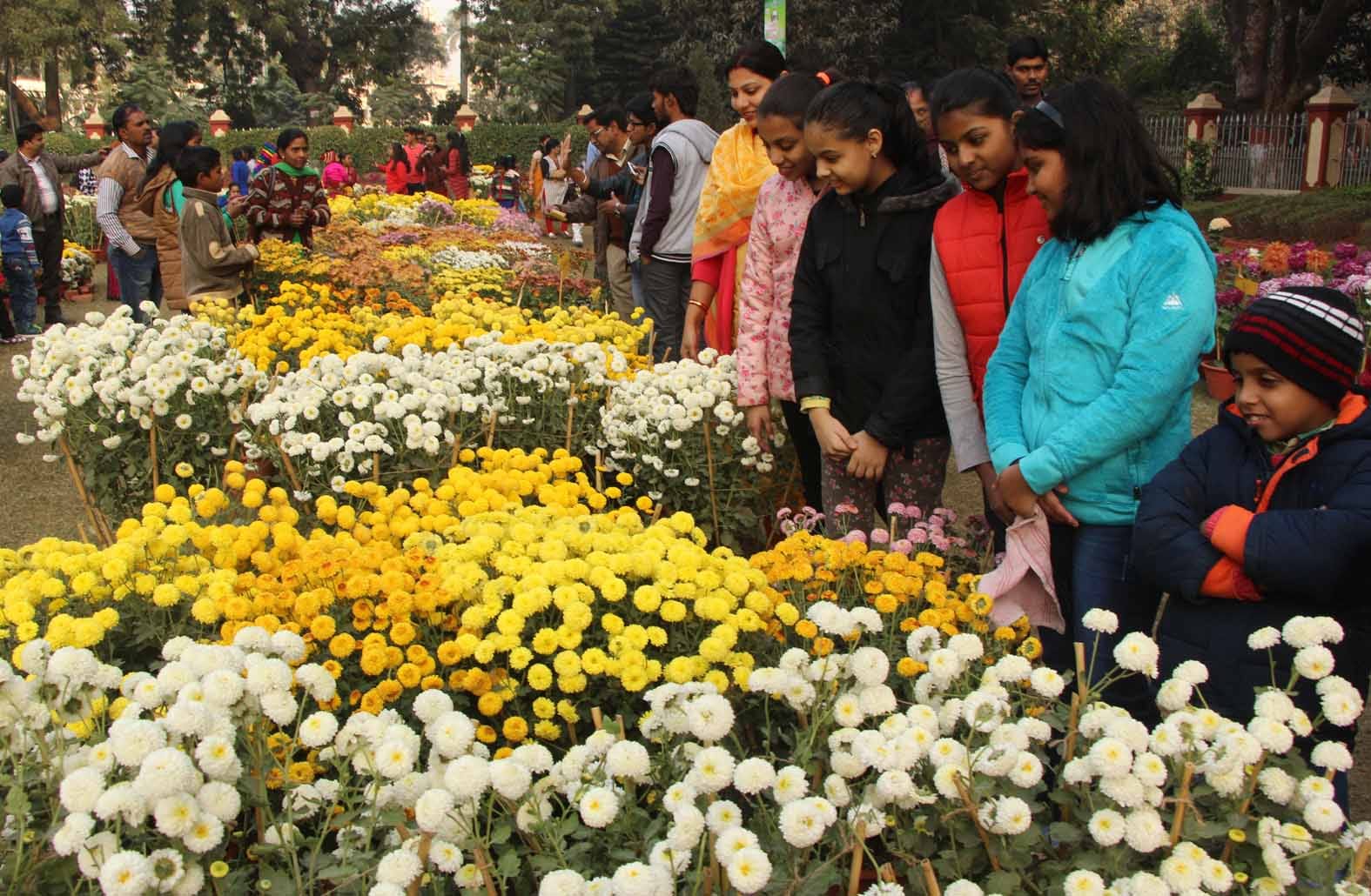 Flower exhibition in malviya bhawan in BHU