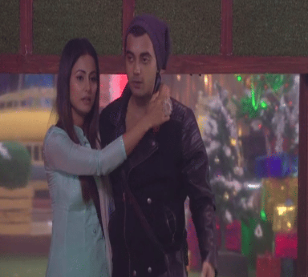 Bigg Boss ex contestant Hina Khan and Luv Tyagi reveals relationship secret on social media 