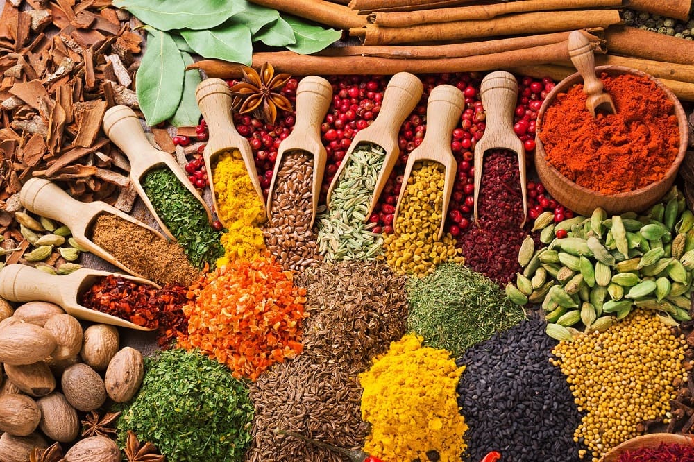 navratri 2019 fasting rule