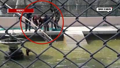 Crocodile's death in Lucknow Zoo