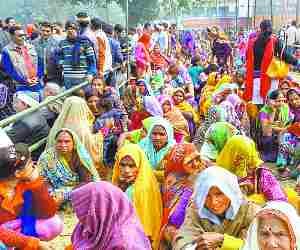 Ration shop selected