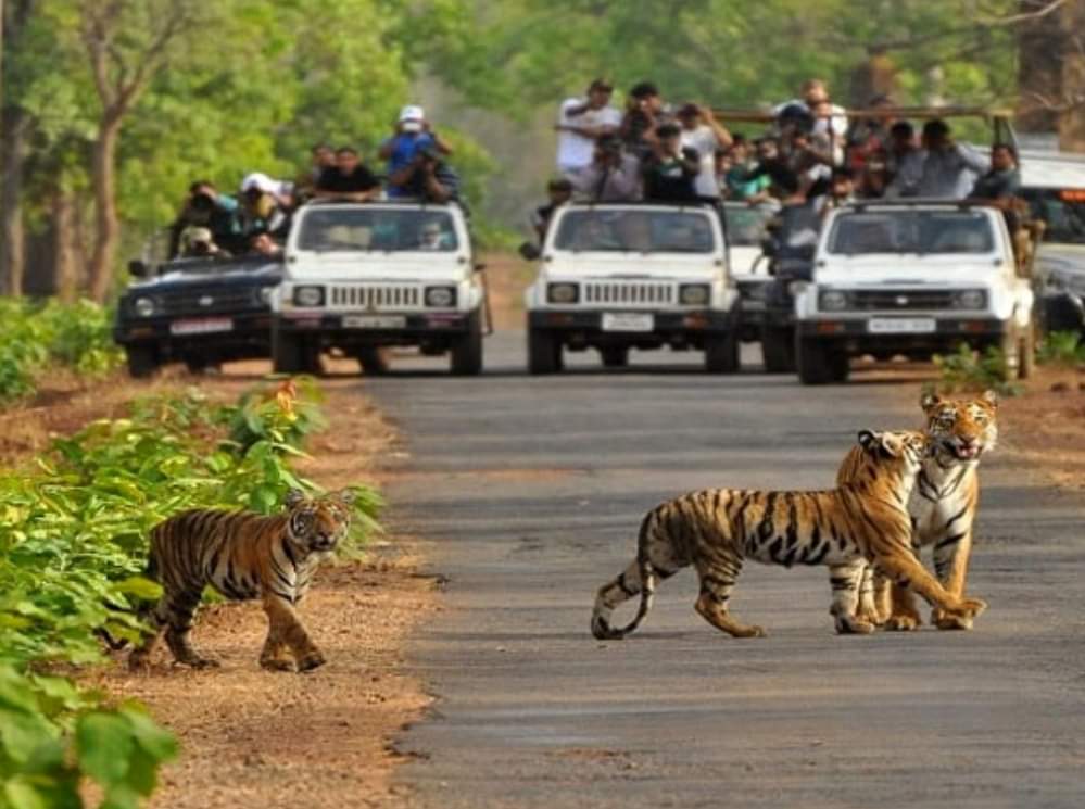 madhya pradesh best place to visit in deember