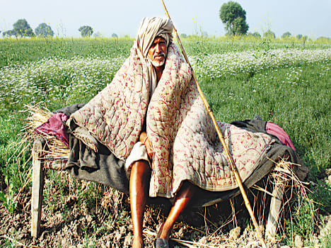 Eight thousand live animals in eight months in Bundelkhand