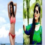 including Sunny Leone and Sapna Chaudhary  Arshi Khan top five in google search in 2017