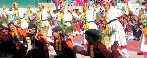 थलटू खोड़ स्कूल के मेधावी नवाजे